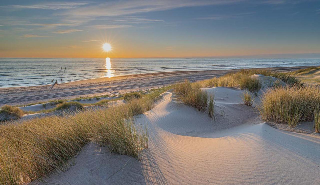 Heerlijk Vrijstaand Huis Aan De Duinen ブールグ・ハームステーデ エクステリア 写真